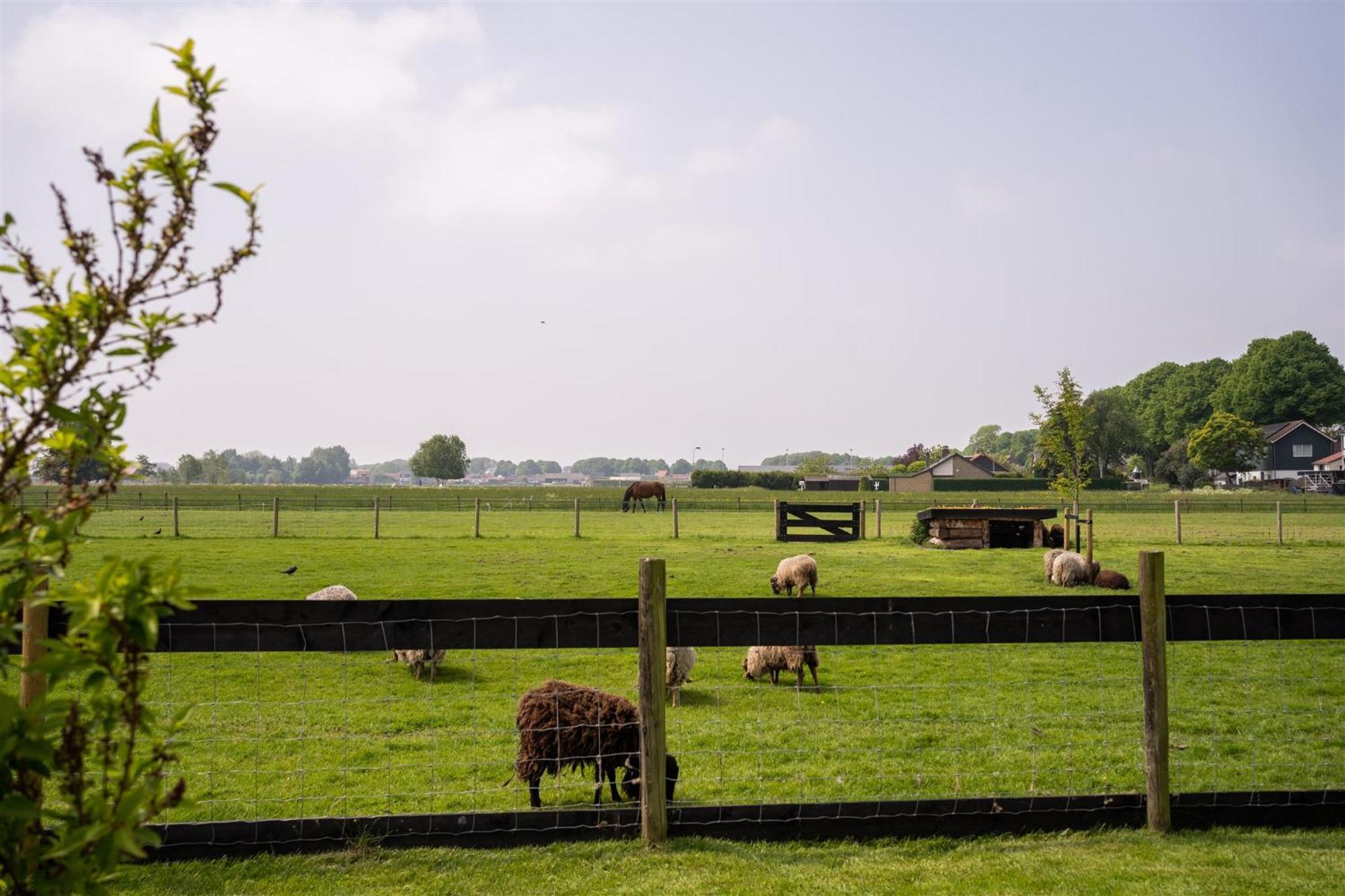 Vakantiewoning Le Garaazje 'S-Gravendeel Zewnętrze zdjęcie