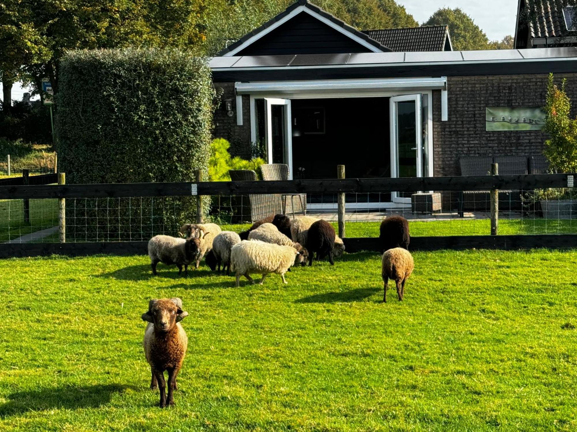 Vakantiewoning Le Garaazje 'S-Gravendeel Zewnętrze zdjęcie