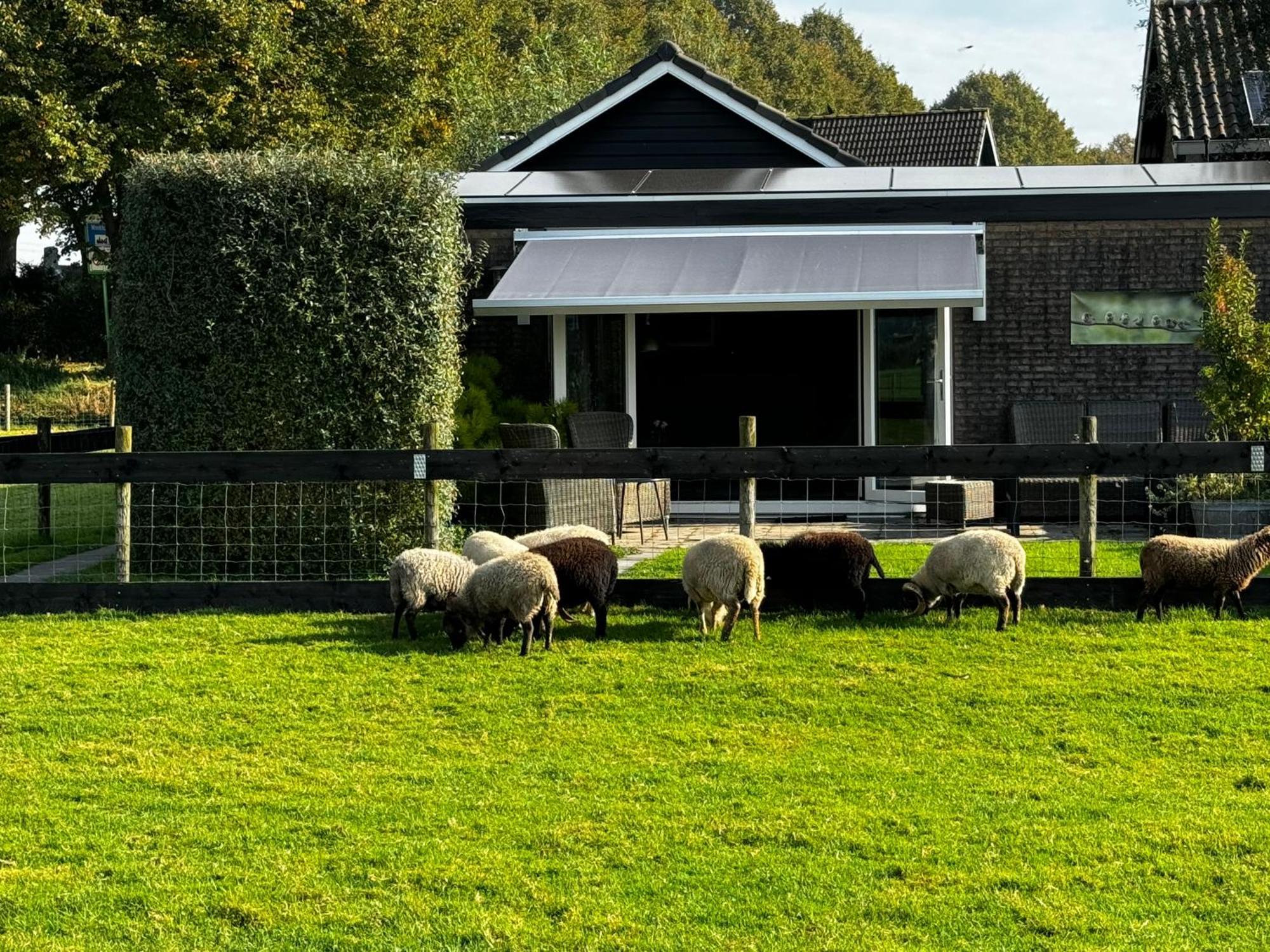 Vakantiewoning Le Garaazje 'S-Gravendeel Zewnętrze zdjęcie