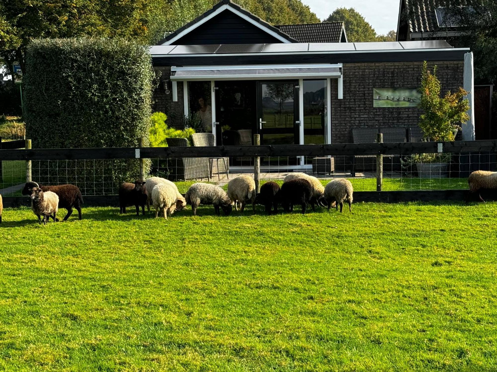 Vakantiewoning Le Garaazje 'S-Gravendeel Zewnętrze zdjęcie